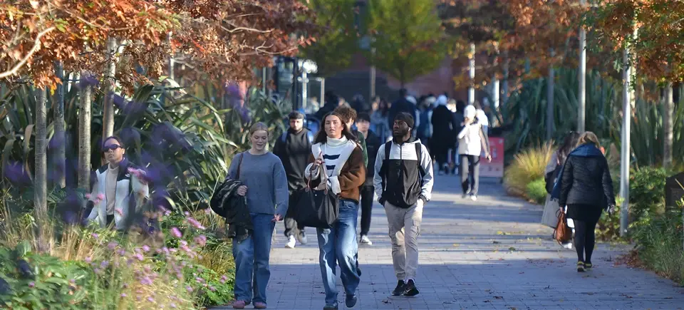 AMBS students walking down a path on the campus, surrounded by autumnal trees