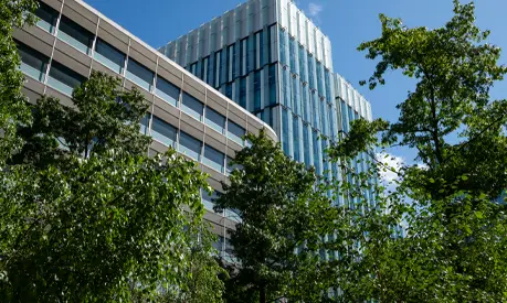 Tall modern buildings and green trees in Manchester City centre