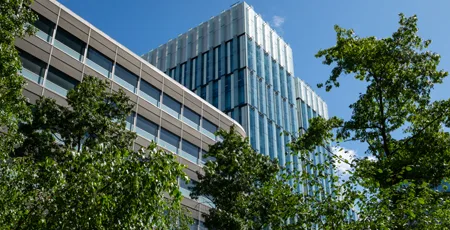Tall modern buildings and green trees in Manchester City centre
