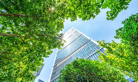 An image of a building towering over some trees, in the background there is blue skies